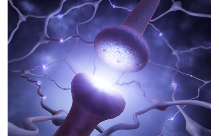 Gesundheit der Neurotransmitter